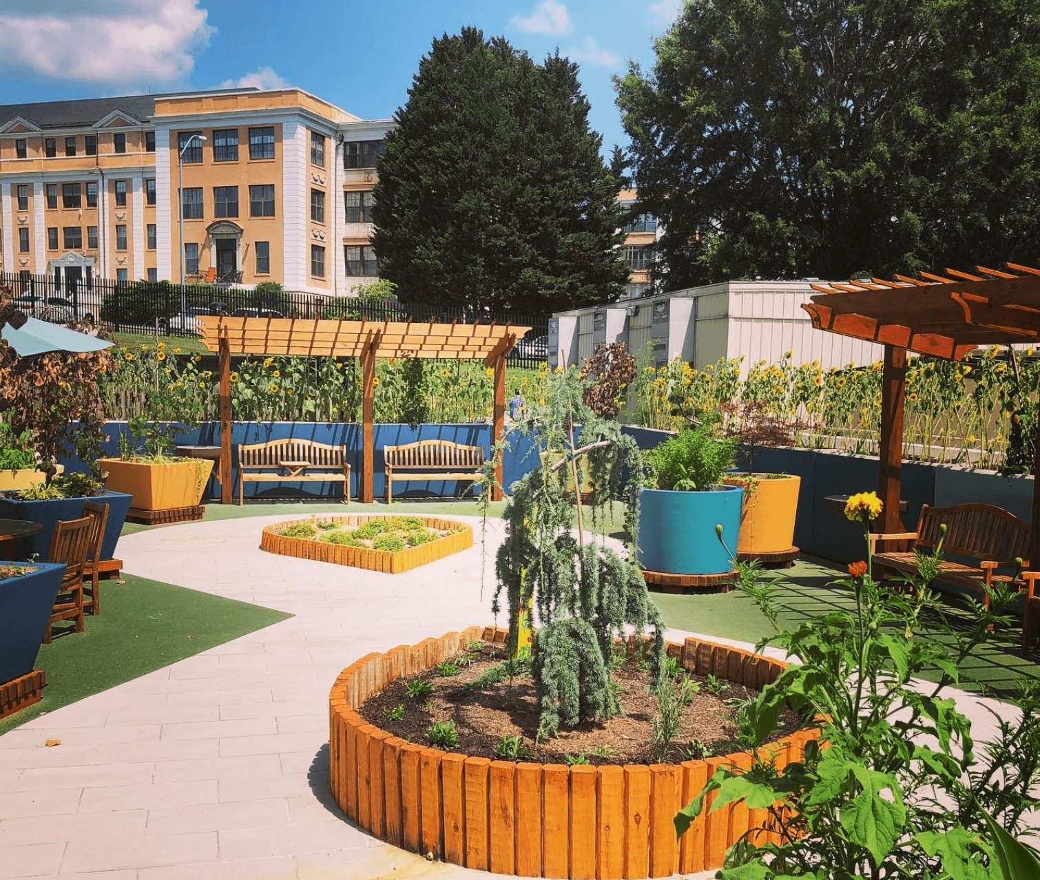 The Sunshine Collective - Permaculture & Native Gardens